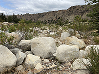 Light, buff-colored granite boulders in the dry river bed.